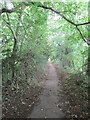 Footpath at Cockfield