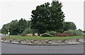 SP5821 : Landscaped roundabout on London Road, Bicester by David Howard