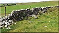 SD8970 : Partly ruined dry stone wall separating fields SW of Darnbrook House by Roger Templeman