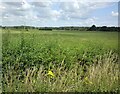 Farmland off the A64