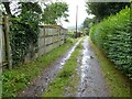 Bridleway to Fruitlands