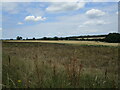 Fields near Chevington