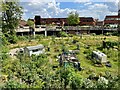 Lavender Place Community Gardens