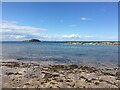 NT5685 : The Shore at Milsey Bay North Berwick by Jennifer Petrie