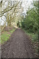 Footpath to Crawley Downs