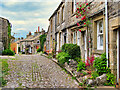 Chamber End Fold, Grassington