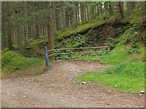 NT2841 : Small quarry and bike trail, Glentress Forest by Jim Barton