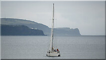 J5082 : Yacht 'Cupid' off Bangor by Rossographer