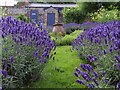 The Walled Garden at Hughenden Manor