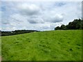 First Barn Field