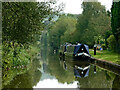 Trent and Mersey Canal (Hall Green Branch) near Hardings Wood