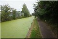 Tame Valley Canal towards Brookvale Road Bridge