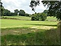 Fields beside Stocks Lane