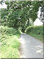 Country road from Coptiviney to Hampton Wood