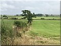 Fields near Annan