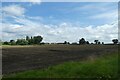 SE6243 : Fields near Deighton by DS Pugh
