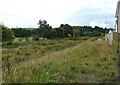 Grassland beside the railway