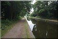 Tame Valley Canal towards Piercy Aqueduct