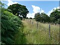 Footpath near Harbour Farm