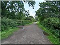 Bridleway into Riverside Country Park