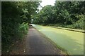 Tame Valley Canal towards Chimney Bridge