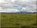 NY0567 : Pasture near Nether Locharwoods by David Dixon