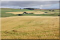 Fields at Kinchyle, Towie