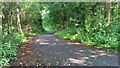 Welsh Coast Path, Loughor