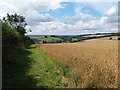 A view across the Vale of York