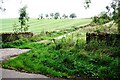 Track to Wolfa from rural road SW of Salkeld Dykes