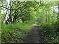 Former Waverley Line near Broomhill (2)