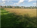 Church Lane Recreation Ground, Kingsbury