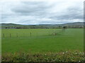 Fields and fences near Cynfal Farm