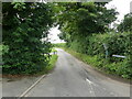 Looking into Clipped Hedge Lane