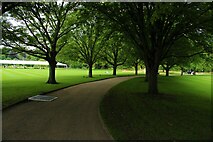 TQ2879 : View of Horse Chestnut Avenue in Buckingham Palace Gardens by Robert Lamb