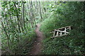 SO3121 : Footpath by Strawberry Cottage Wood by M J Roscoe