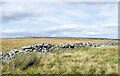 NZ0301 : Grassy moorland along Fremington Edge by Trevor Littlewood