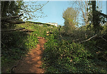 SX9266 : Path near St Marychurch by Derek Harper