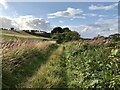 Path towards Highmains Hill