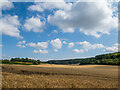 TL2515 : A field of barley by Patrick Mackie