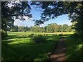 Footpath north of Mottram St. Andrew