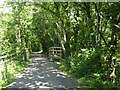 Bridge on Wray Valley Trail