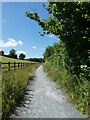 The Wray Valley Trail south of Moretonhampstead