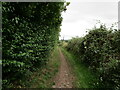 Bridleway to Carter Lane, Church Warsop