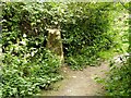 Killisick Lane trig pillar