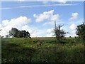 Rough pasture beside the old railway