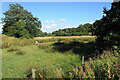 Rough grazing land off Stoneycroft Lane