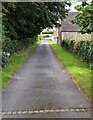 Access road to Old Court Farm, Nympsfield, Gloucestershire