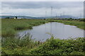 ST3382 : Uskmouth reedbeds, Newport Wetlands by M J Roscoe