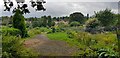 Westfield Road Allotments